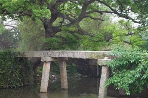 ƽ����������