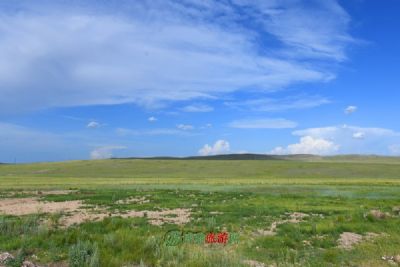 乌珠穆沁草原