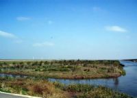 瓜溪桫椤保护区