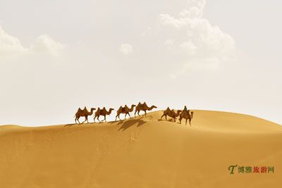 沙漠探险
