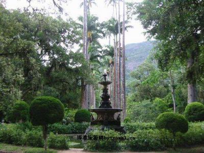 里约热内卢植物园