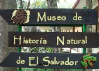 萨尔瓦多自然历史博物馆
