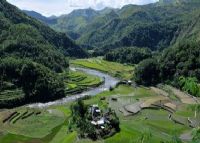 菲律�e科迪勒拉山的水稻梯田