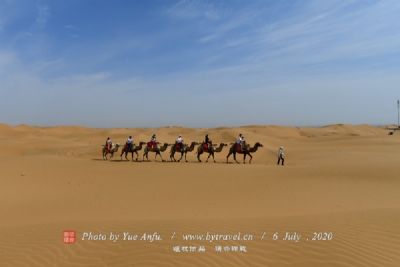 夏河沙漠胡杨林生态旅游景点