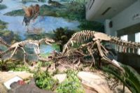 老挝恐龙博物馆