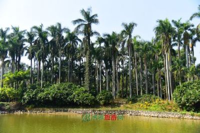 库兰达热带雨林自然公园