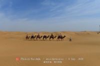 厄尔比那喀提和德阿尔塔大沙漠生物圈保护区
