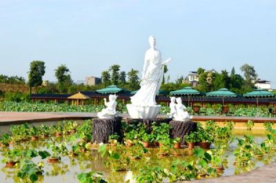 泸县龙桥文化生态园