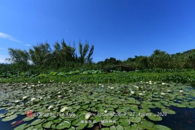 香妃湖花卉庄园