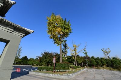 南旺枢纽遗址考古公园