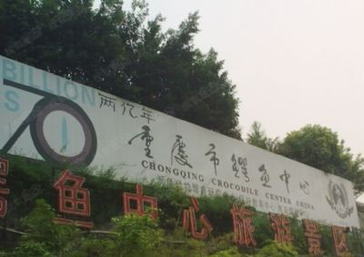 重庆鳄鱼中心
