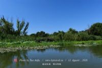 明湖国家湿地公园