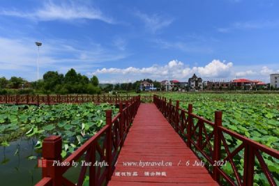 萍乡荷花博览园
