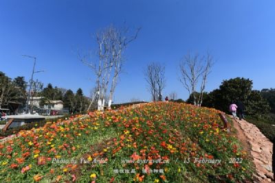 廊下生态园 金山区廊下生态园旅游指南