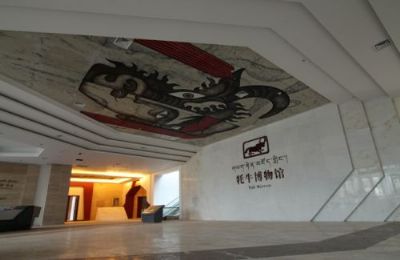 西藏牦牛博物馆