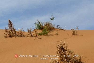 左云管家堡国家沙漠公园