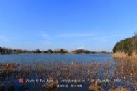 大同桑干河国家湿地公园