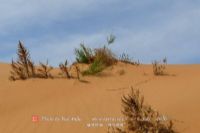 左云管家堡国家沙漠公园