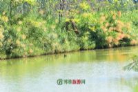吉林集安霸王潮国家湿地公园