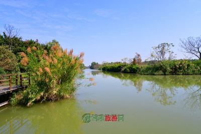 四会绥江国家湿地公园