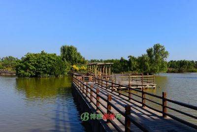 宁夏镇朔湖国家湿地公园