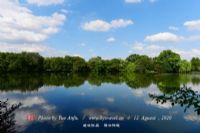 可鲁克湖-托素湖湿地自然保护区