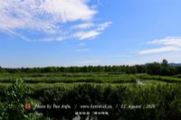 阜南王家坝国家湿地公园