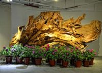上海木文化博物�^