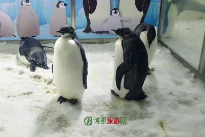 山海关海洋水族馆