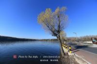 小苏干湖自然保护区