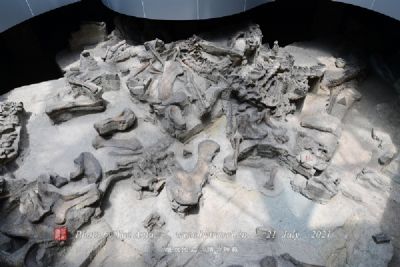 石峡恐龙蛋化石埋藏地